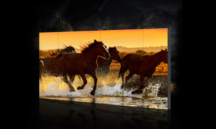 【簽約】深圳市樂(lè)華數(shù)碼科技有限公司官網(wǎng)建設(shè)